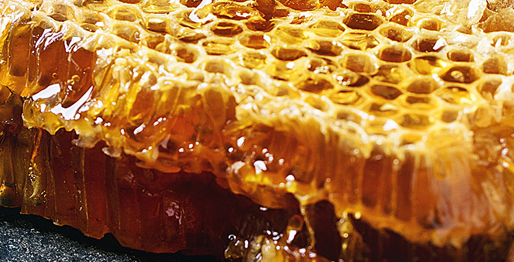 Favos: O Elixir da beleza